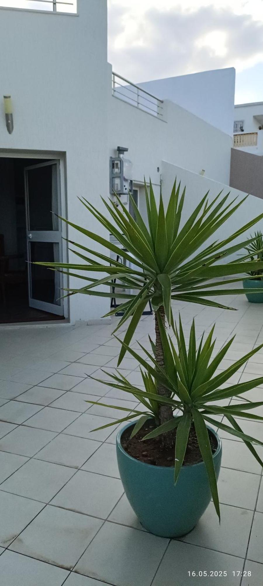 Residence Debbabi Sans Coupure D'Eau Monastir Værelse billede